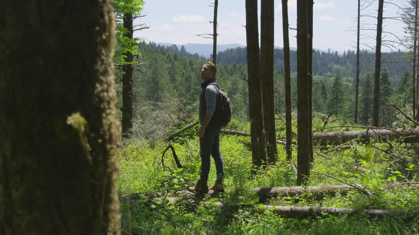 Photographer Hiking In Nature