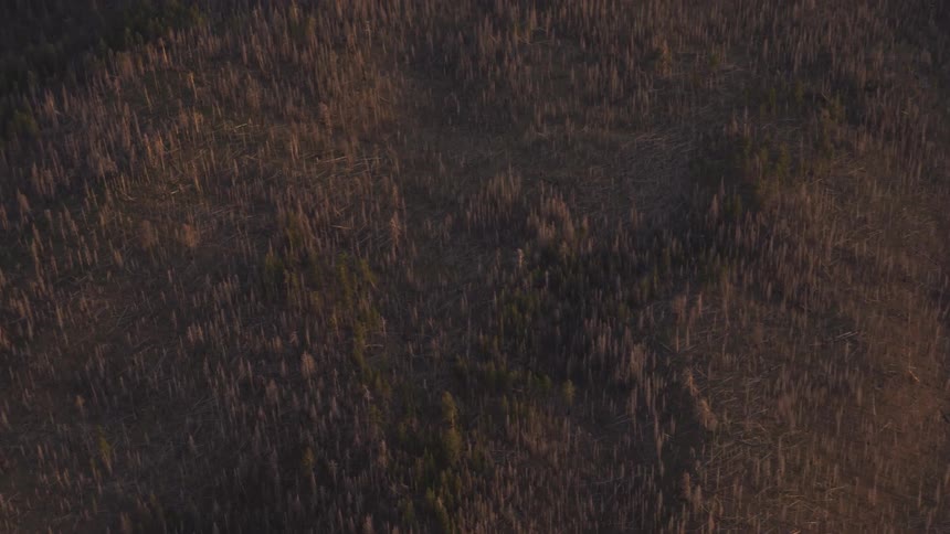 Pilot Flying Plane Through Snowy Mountains