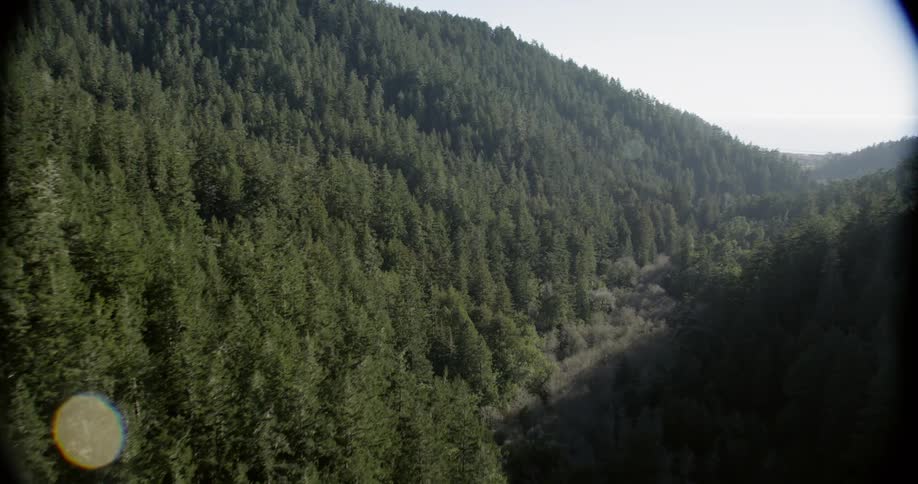 Northern California Coast Aerials