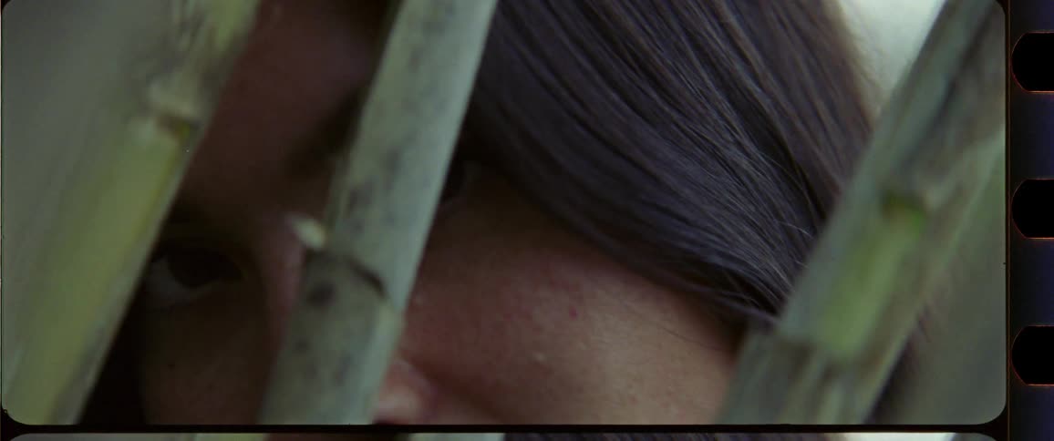 Closeup of a woman with brown eyes looking through bamboo