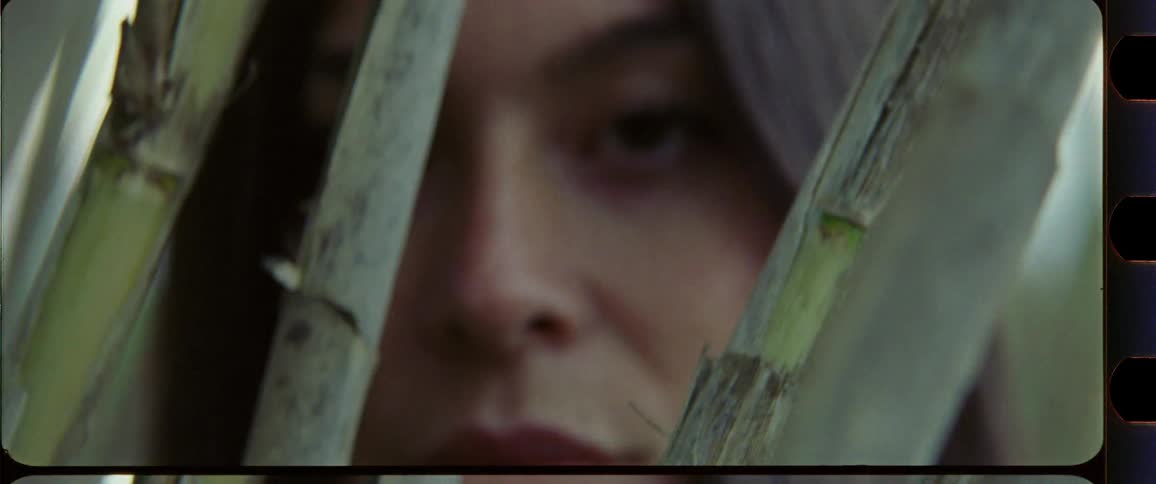 Closeup of a woman with brown eyes who is turning around looking through bamboo