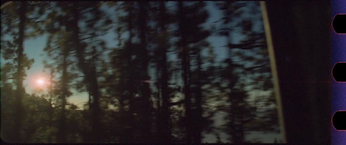 Trees in front of mountain region shot out of a driving car