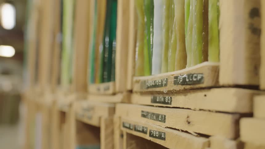 Green glass in wood boxes