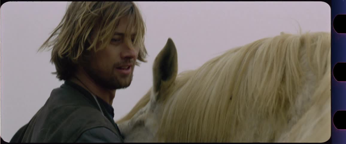 Man petting a white horse