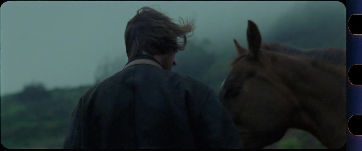 Couple petting a brown horse with wind in their hair