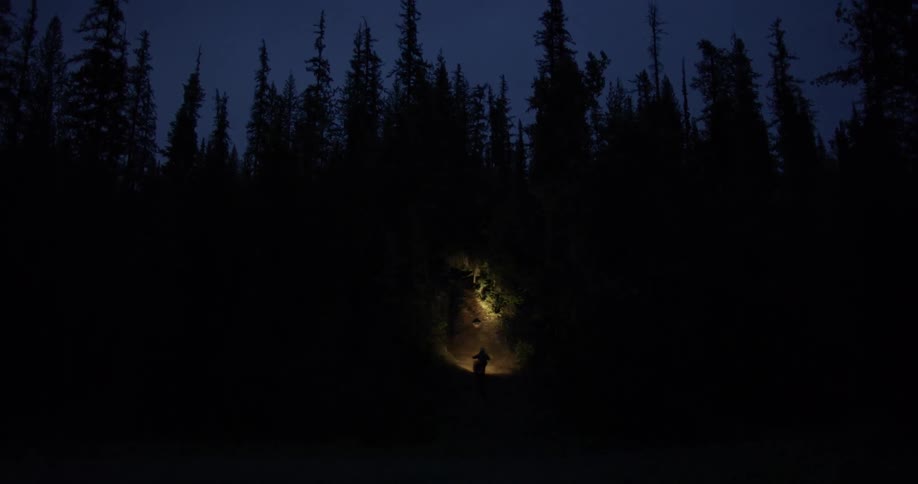 Traveling In Montana