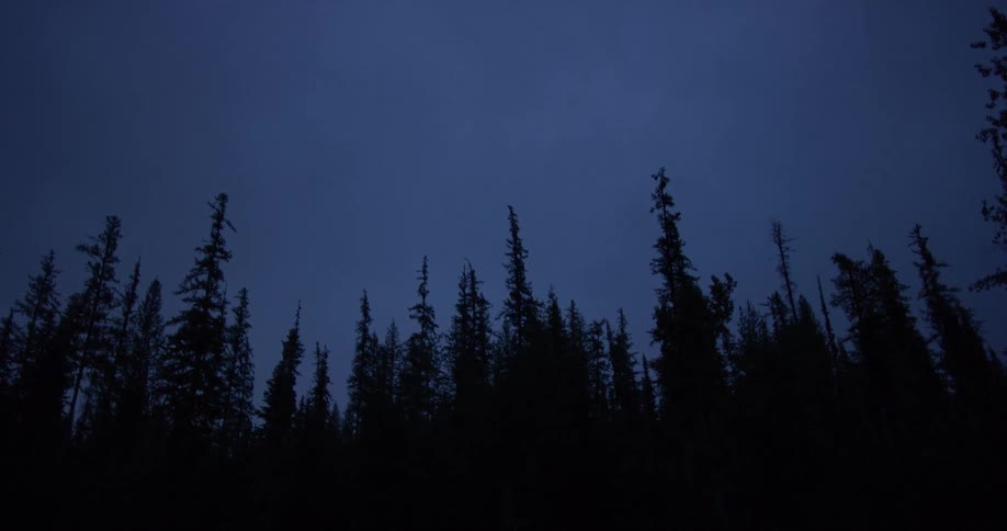 Traveling In Montana