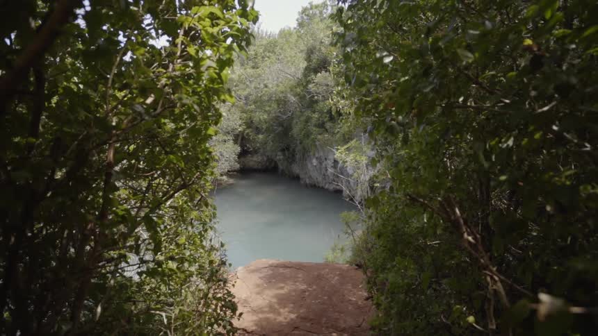 Bermuda Scenics