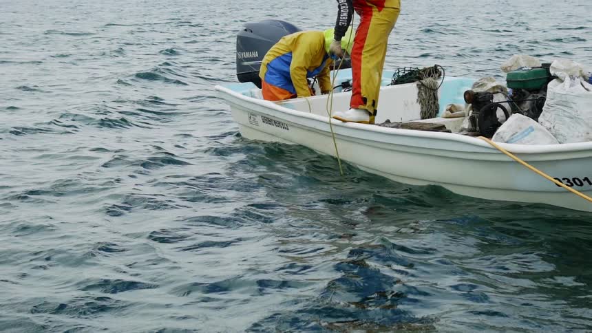 Baja Fishermen