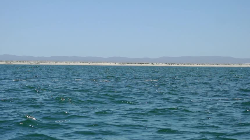 Baja Fishermen