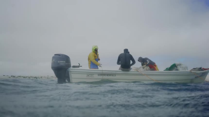 Baja Fishermen