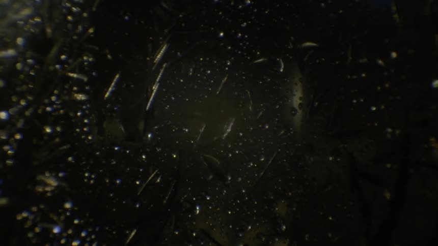 Abstract Substances