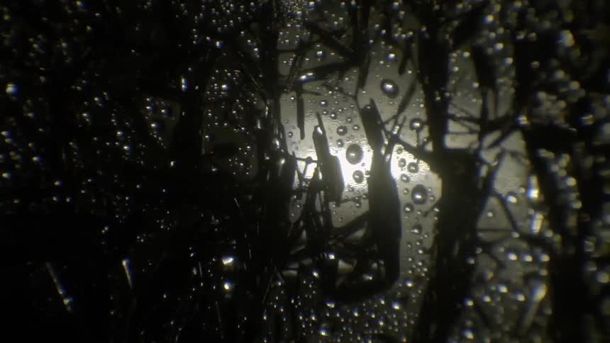 Abstract Substances
