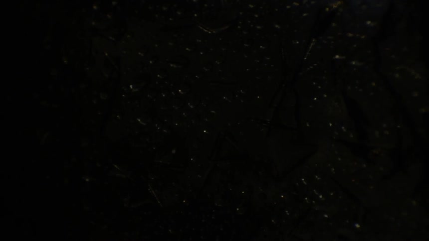 Abstract Substances