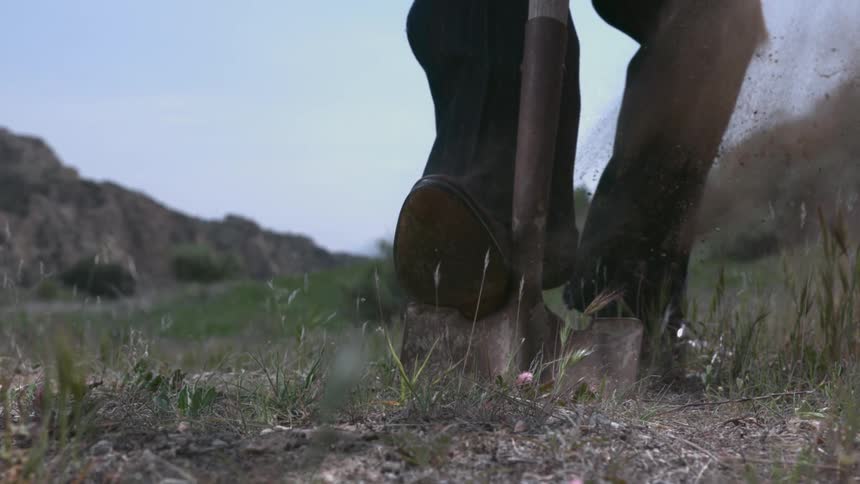 A shovel being used to dig a hole in the wilderness