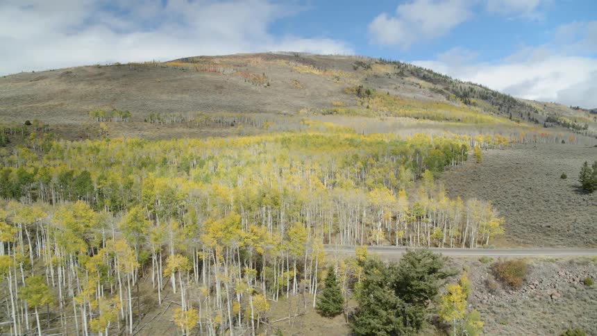Autumn Colors Fish Lake Utah