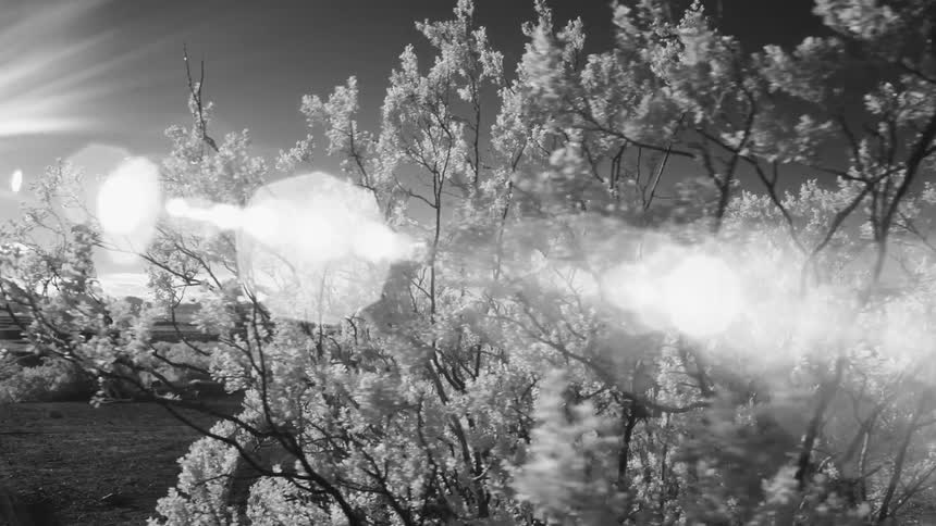 Big Bend Infrared