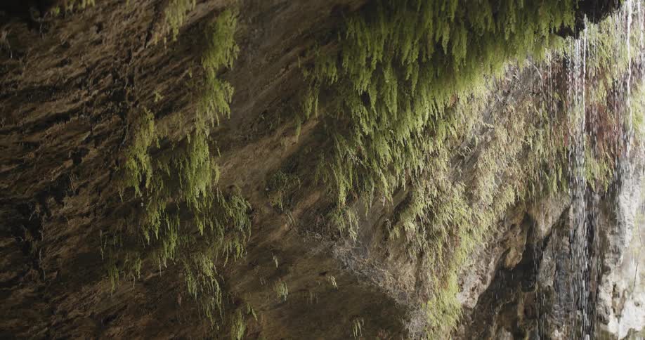 Hamilton's Pool Scenics