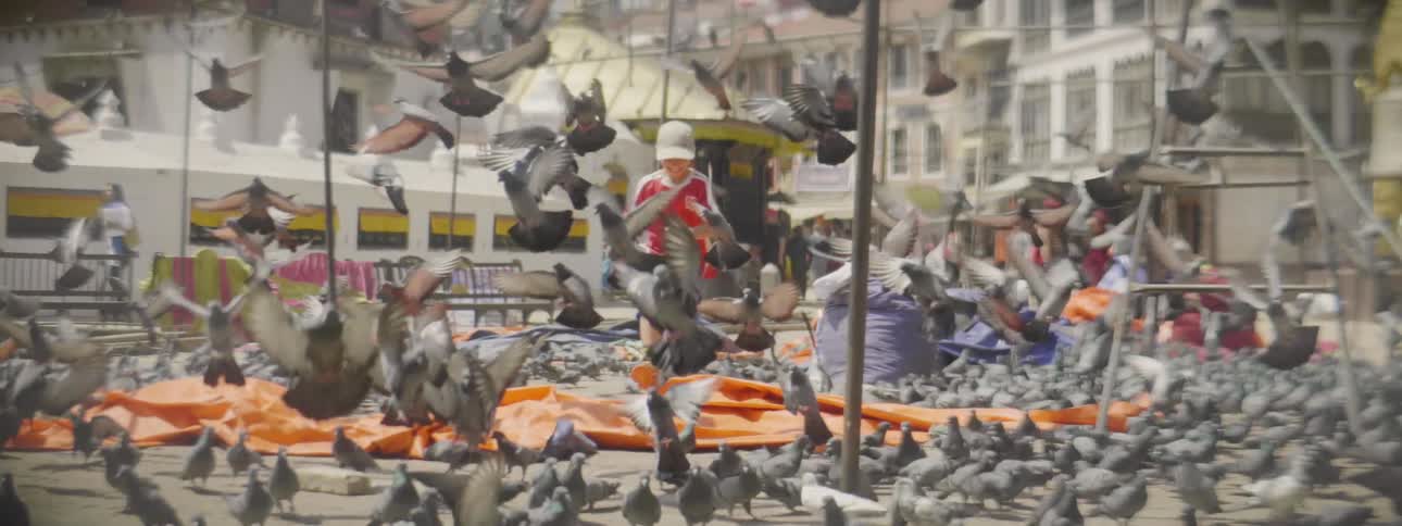 Nepal Kathmandu And Everest Base Camp Trek