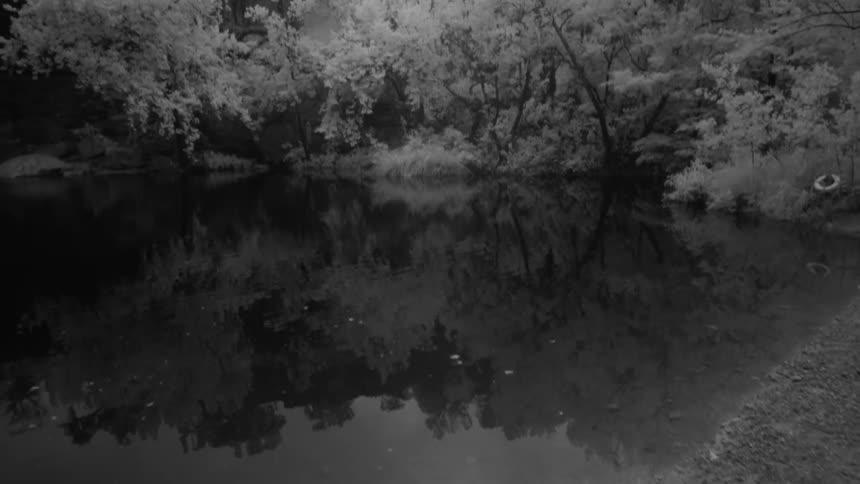 Hamilton's Pool Infrared