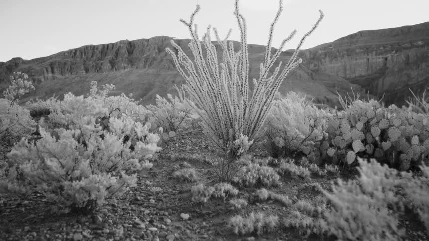 Big Bend Infrared