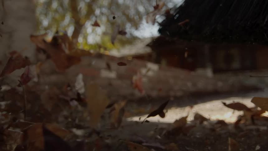 A pile of leaves is blown across the sidewalk
