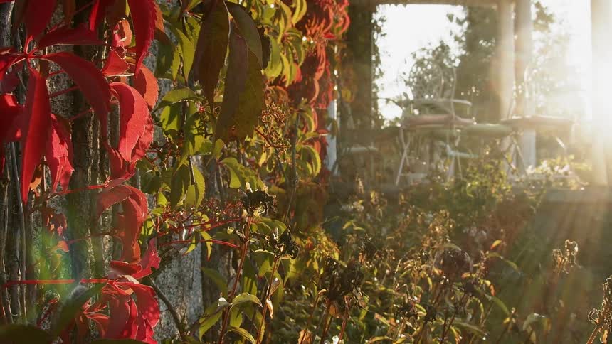 Sustainable Farm With Animals