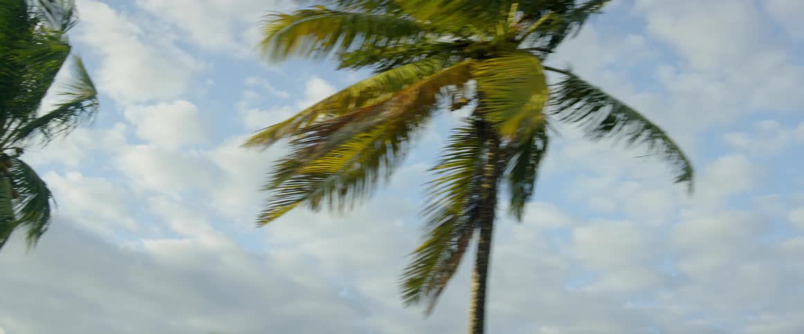 Driving In Guyana