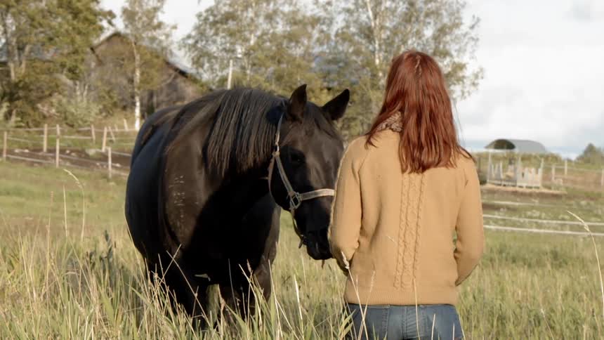 Woman walking to her horse on the pasture