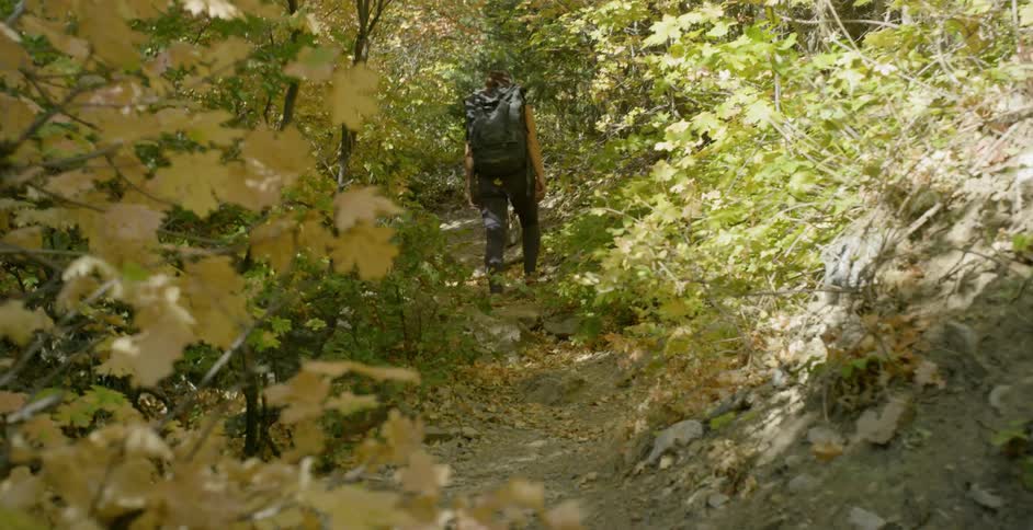 Woman Rock Climbing In Nature