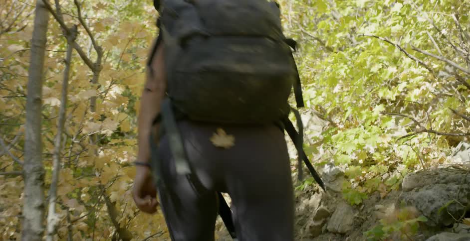 Woman Rock Climbing In Nature