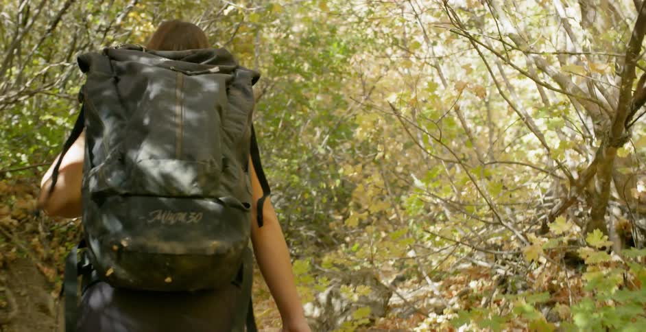 Woman Rock Climbing In Nature