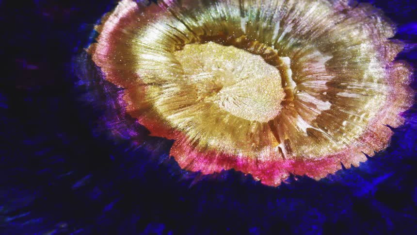 Paint is swirling around on a canvas and making a flower pattern
