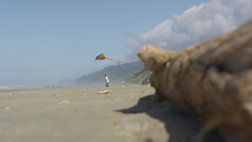 A log lies on the sandy beach where a boy runs and flies his colorful kite