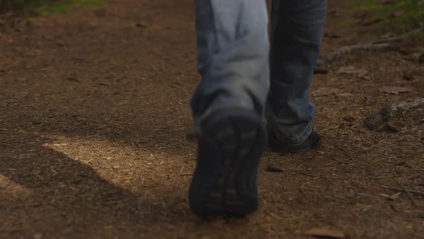 Person walking down a path in a wooded area