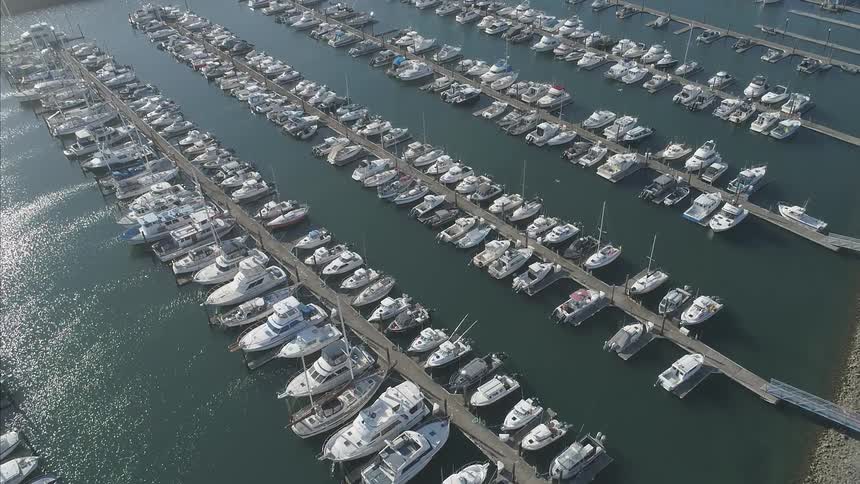Birds fly over docked boats at marina
