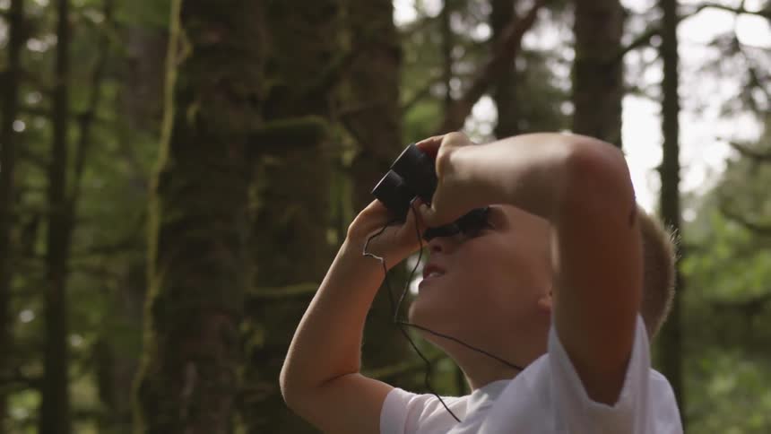 Boy looks through binoculars in forest by daytime