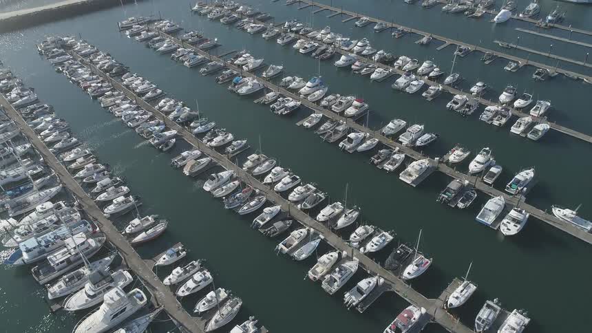 Boats are docked side by side in a marina on a sunny day