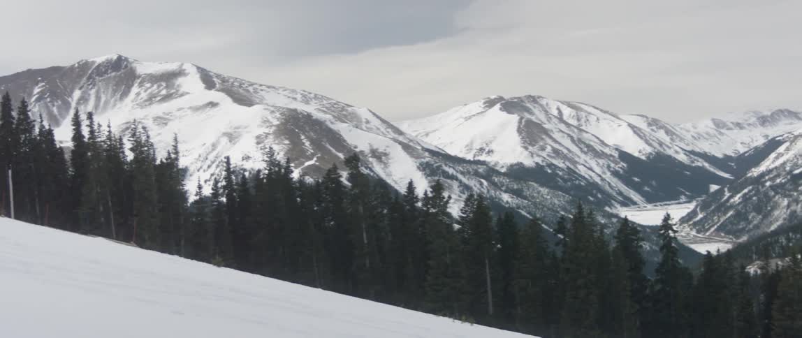 Snow covered mountains, a line of pine trees, and a snow covered slope on a cloudy day