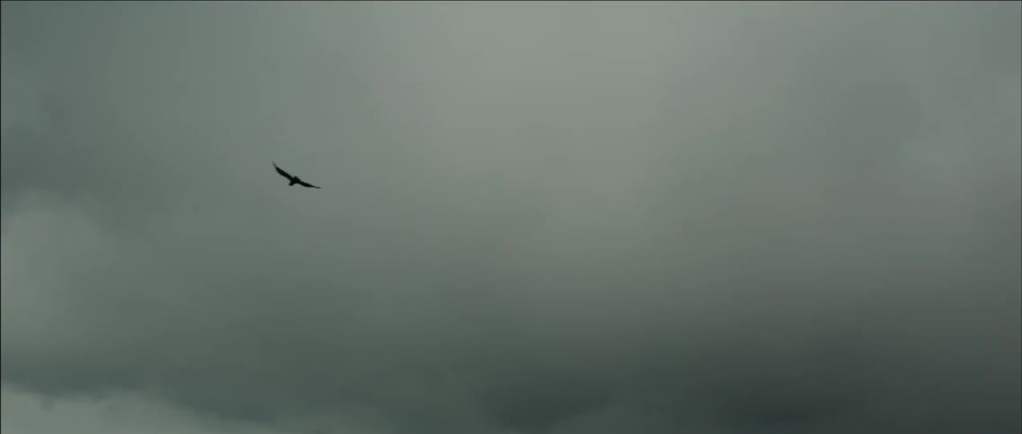 A bird flies over a lake and snow covered mountains on a stormy day
