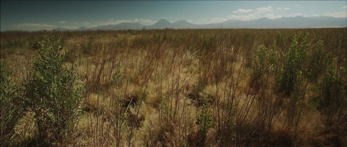Dry grass and shrub bush in a field with mountains off in the far distance