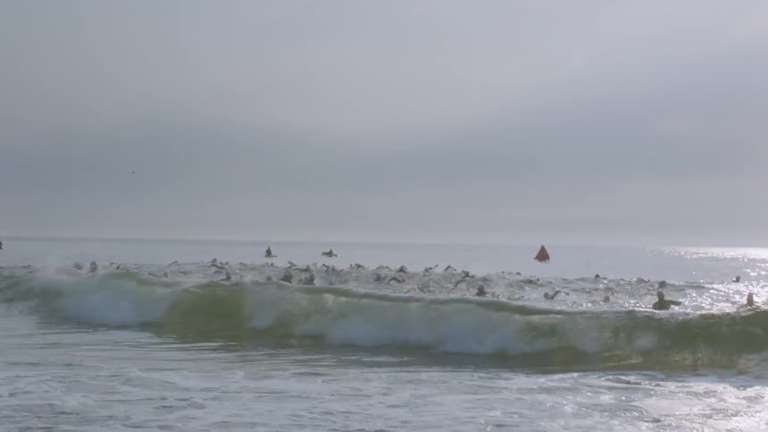 Beachgoers swim in the ocean