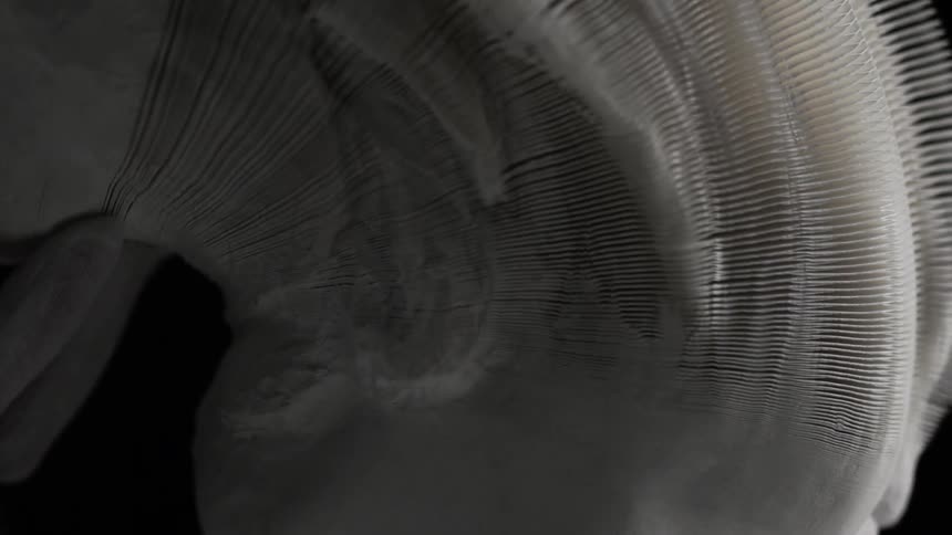 A large white spiral is moving in an arch in a dark area to form a statue