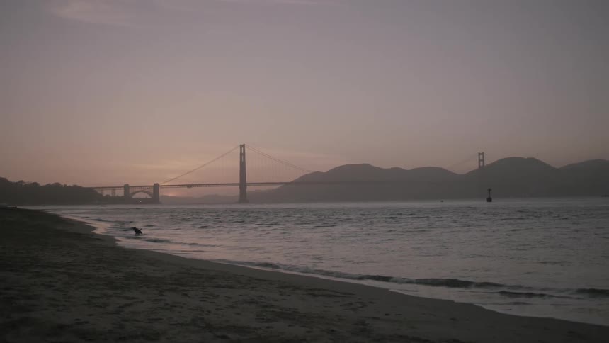 A person plays fetch with their dog by the water at sunset