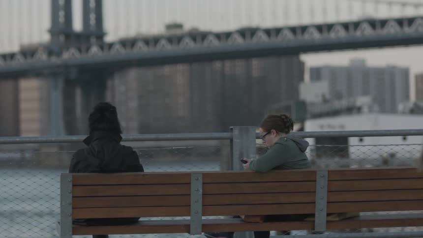 People seated and walking around at a lookout point of a river, bridge, and city skyline