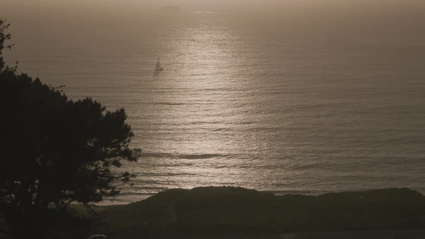 A sailboat floats on the ocean
