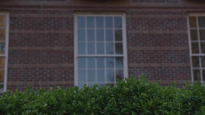 Bushes line brick wall with windows