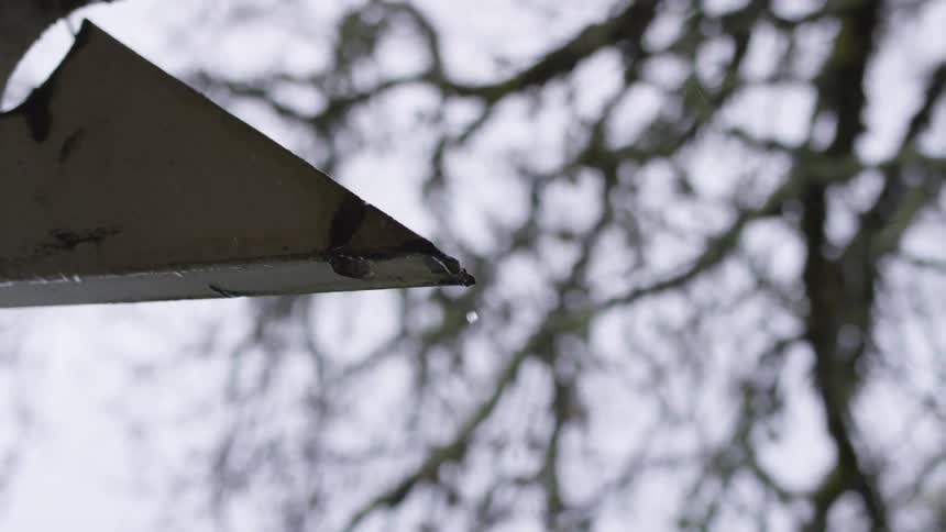 Raindrops are falling from an object