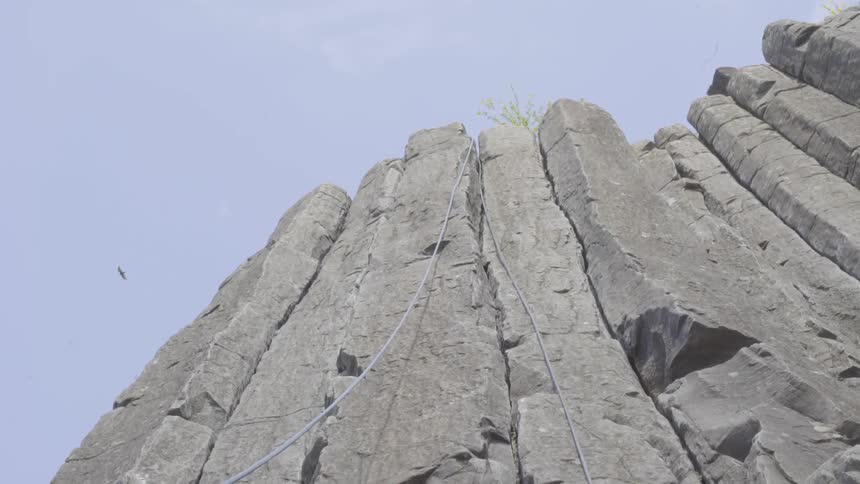 A bird flies over a rock climbing crag while a rope hangs down