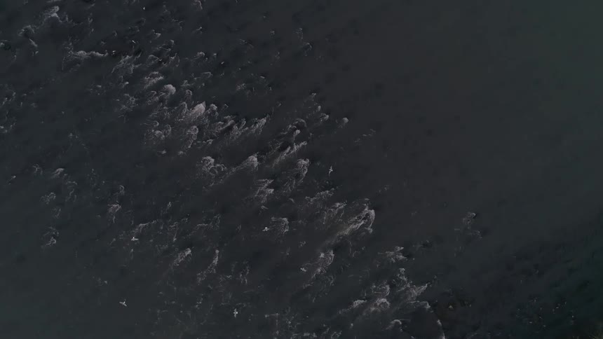 An aerial view of a rocky river with birds flying above it